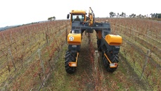 entreprise de pre taillage mecanique de la vigne Herault