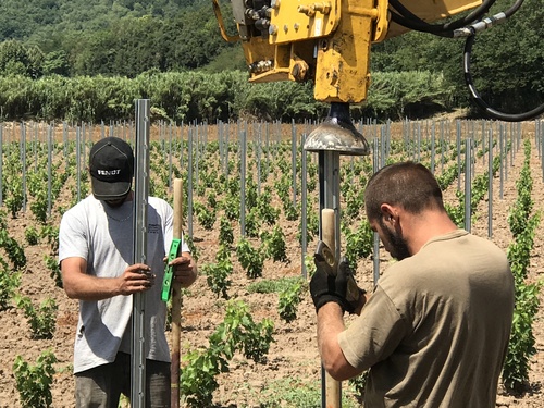 palissage mecanique sarl fuentes laurens