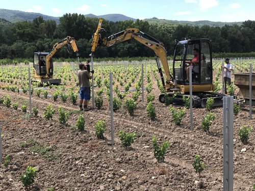 palissage mecanique sarl fuentes laurens