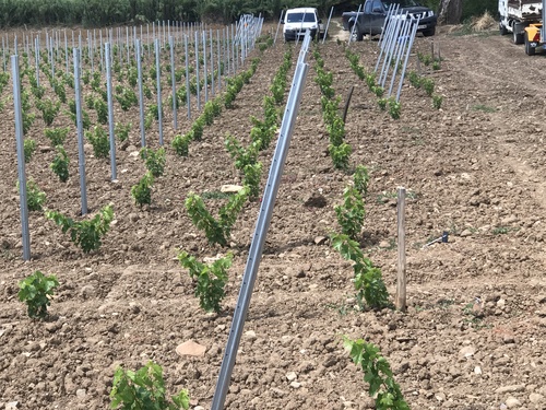 palissage mecanique sarl fuentes laurens