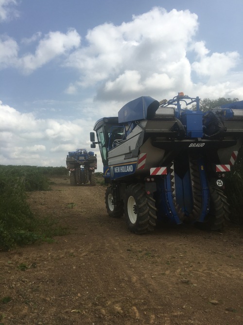 benne à vendange sarl fuentes