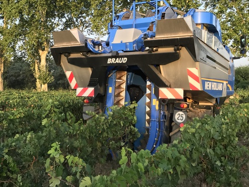 benne à vendange sarl fuentes